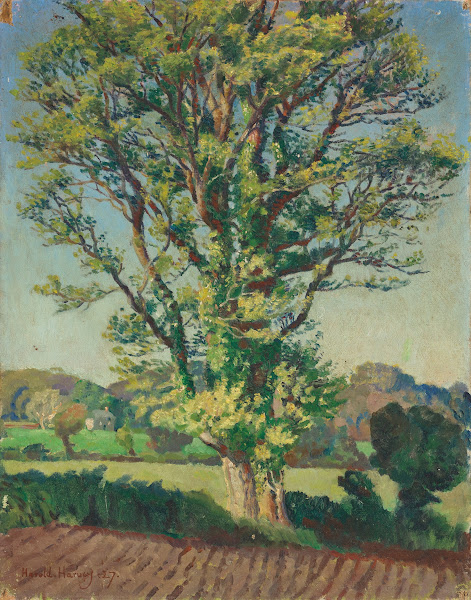 The Elm Tree 1927