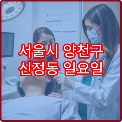 서울시 양천구 신정동 일요일 진료 가능한 정형외과 허리 무릎 통증 진료 정보