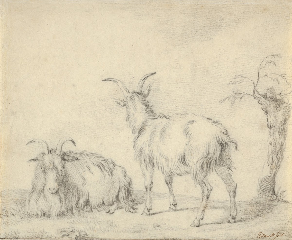 A Standing and a Lying Goat Near a Small Tree 19th century