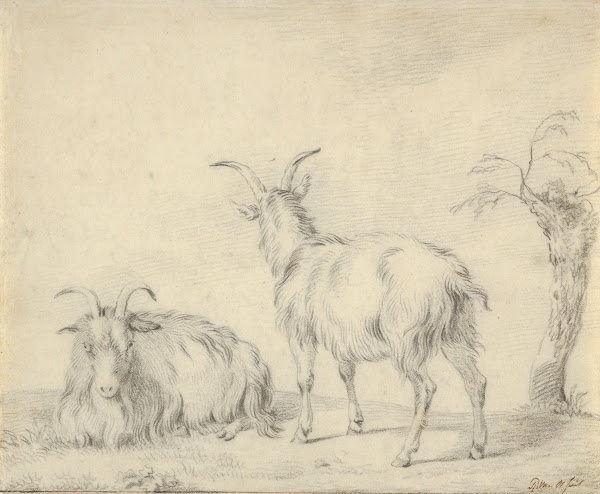 A Standing and a Lying Goat Near a Small Tree 19th century