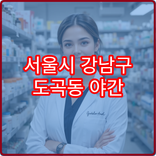 서울시 강남구 도곡동 야간 영업 약국 주거지역 밤 시간 이용 안내