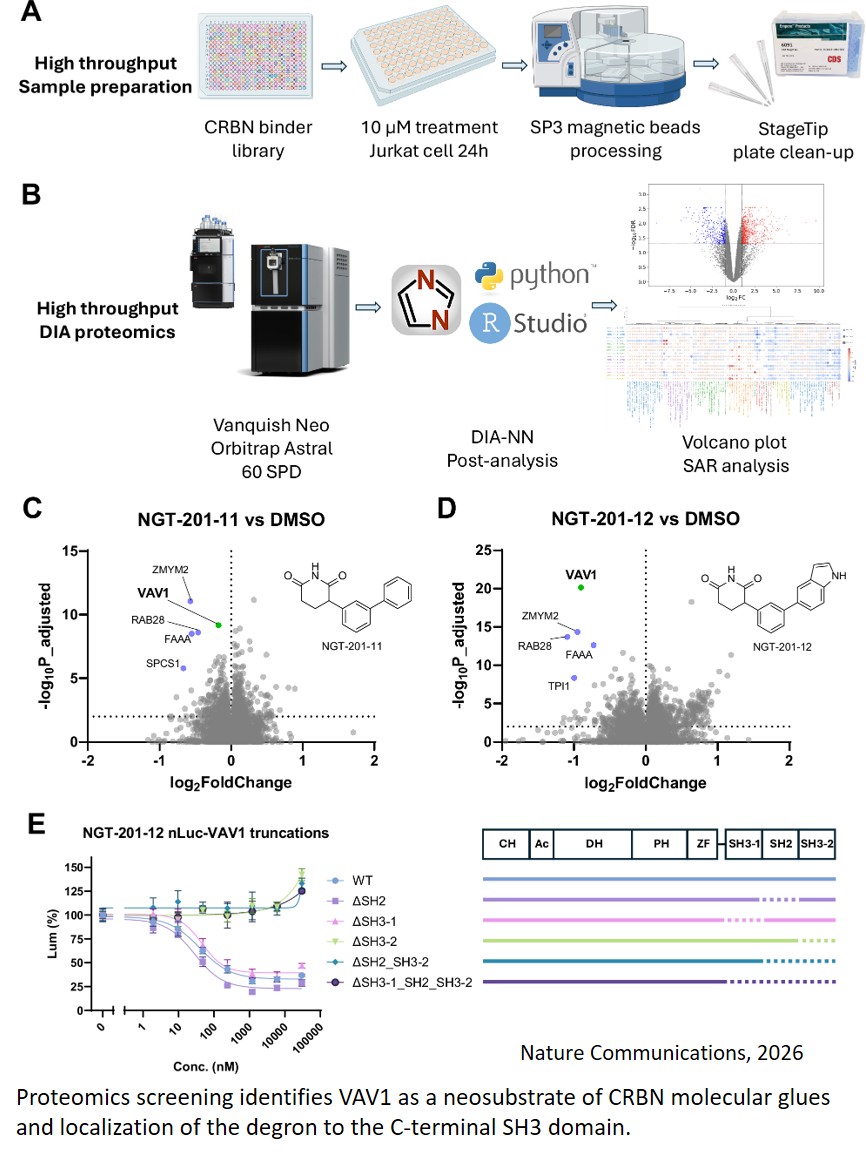 Leveraging high-throughput proteomics and AI-based protein folding to accelerate VAV1 molecular glue discovery