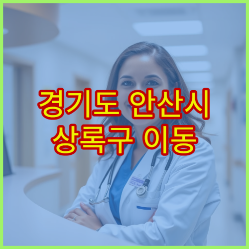 경기도 안산시 상록구 이동 설날 명절 연휴 내과 클리닉 감기·소화불량·고혈압 응급 서비스