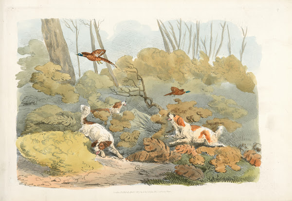 Dogs chasing pheasants 1817 1818