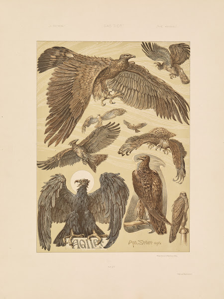 Das Thier in der decorativen Kunst Pl22 1896