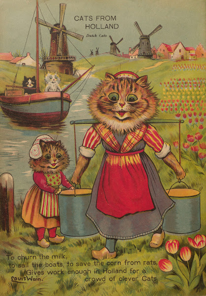 Cats from Holland 1914