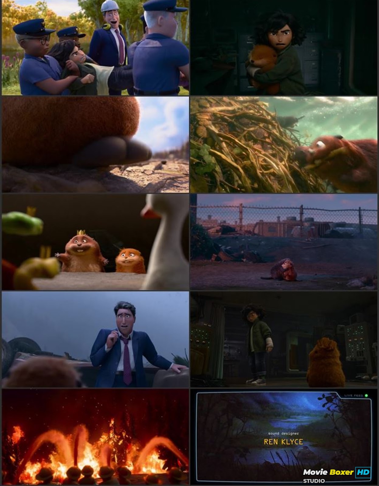 Screenshots Grid