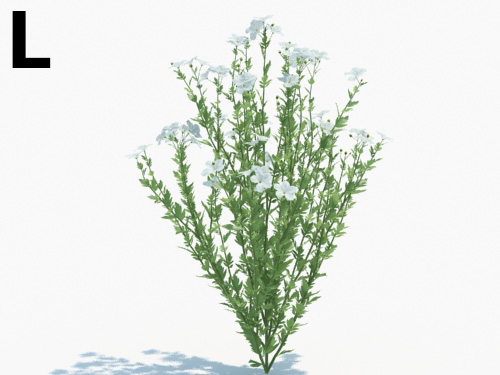 Maxtree - Plant Models Vol.3