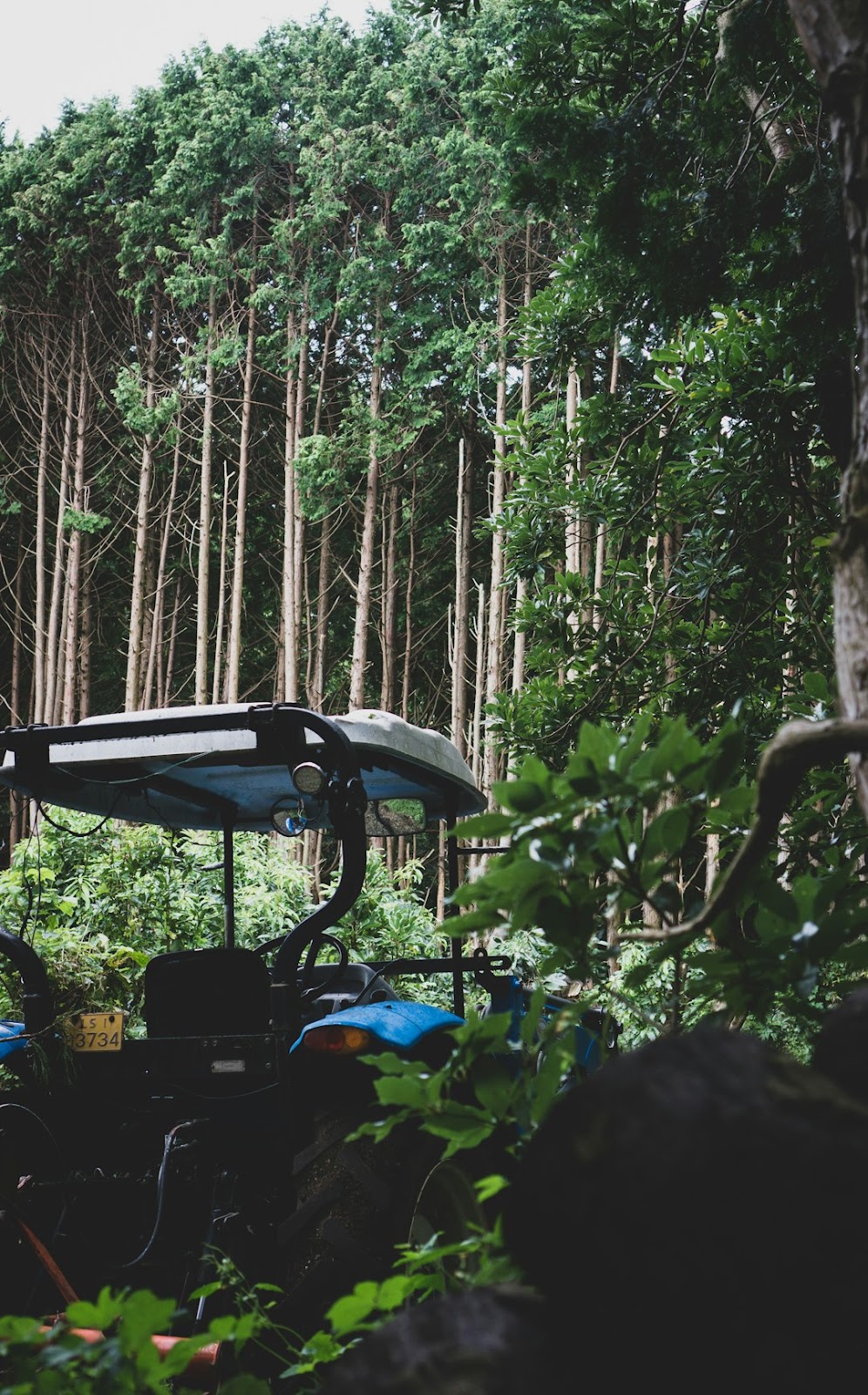 푸른 바다 속으로! 제주 해양 액티비티 완전 정복