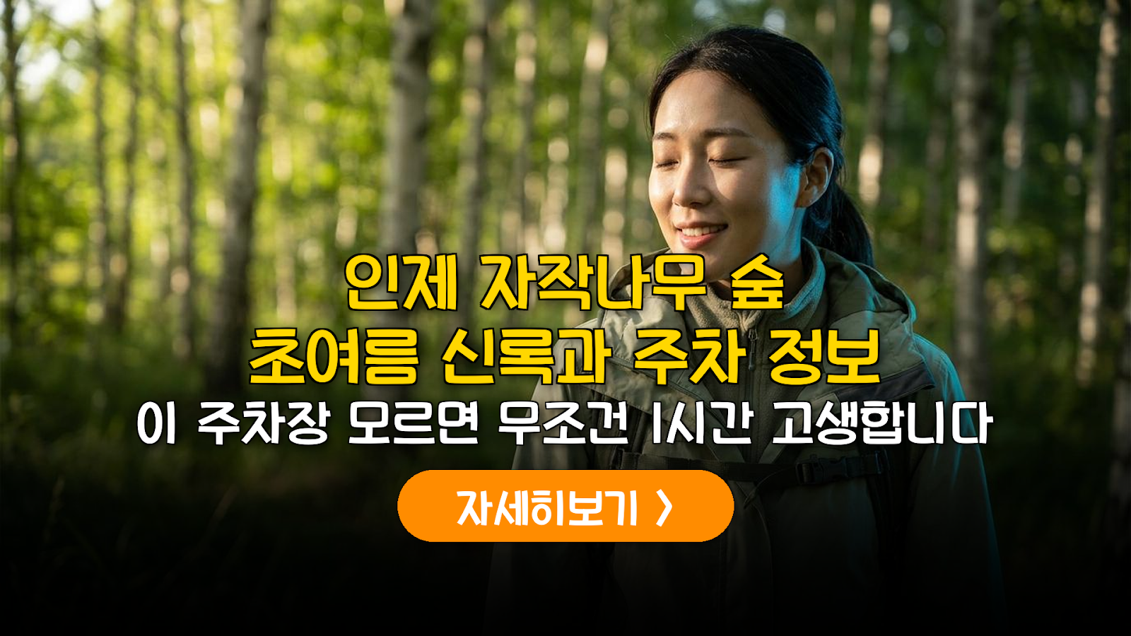 인제 자작나무 숲 주차 및 최단 코스 완벽 가이드