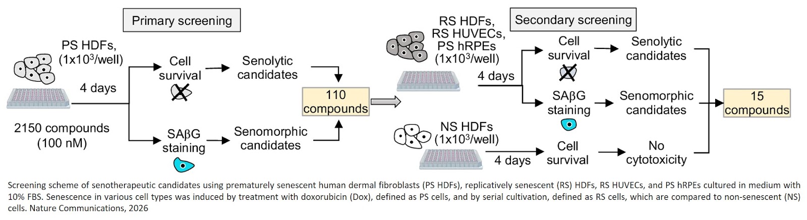 Homoharringtonine exhibits  senotherapeutic activity that mitigates diet- and age-associated obesity and insulin  resistance and extends lifespan in mice