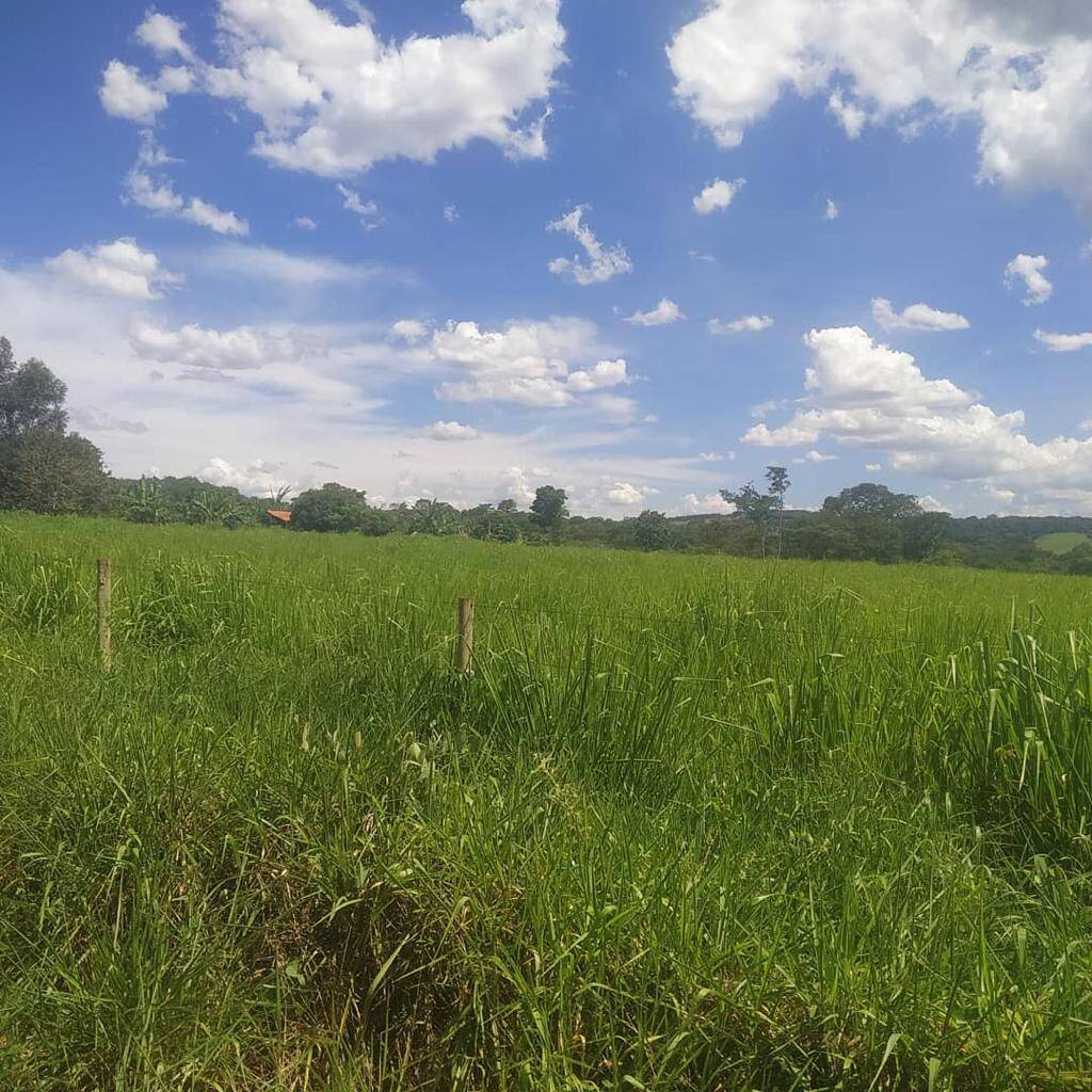 Fazenda no Município de Pirenópolis - GO 6