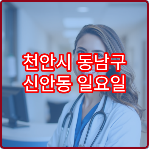 천안시 동남구 신안동 일요일 내과 진료 병원 혈압 혈당 검사 가능
