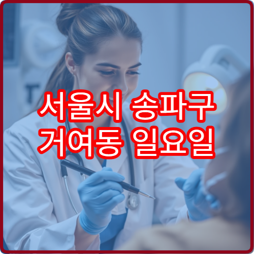 서울시 송파구 거여동 일요일 치과 진료 병원 일요일 진료