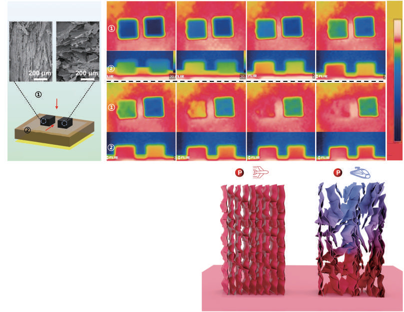 Polyimide-assisted fabrication of highly oriented graphene-based all-carbon foams for increasing the thermal conductivity of polymer composites