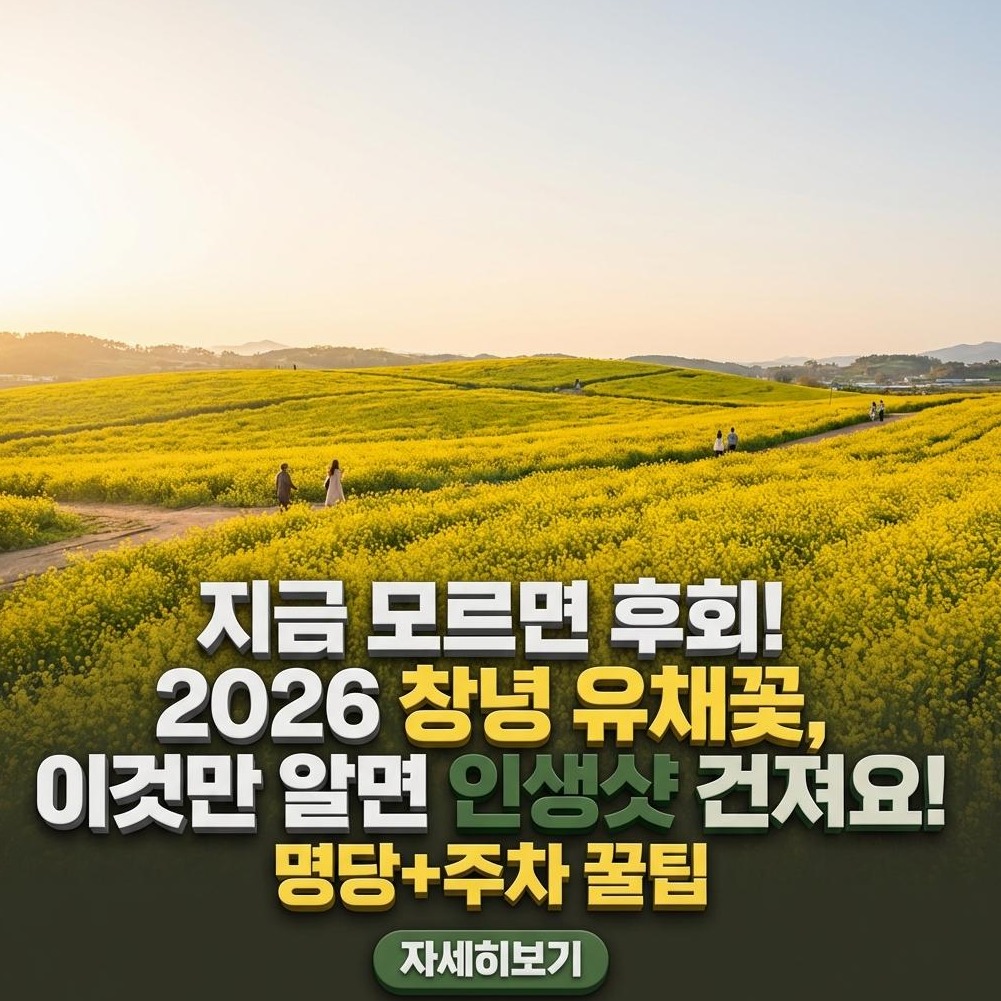 2026 창녕 남지 유채꽃 축제: 인생샷 & 방문 전략