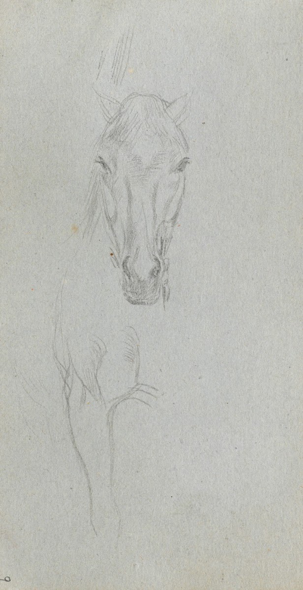 Study of a Horse 5 1860s