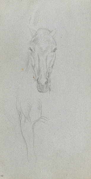 Study of a Horse 5 1860s