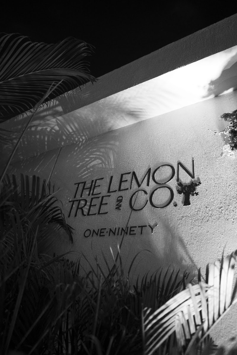 Lemon Tree — frame 8