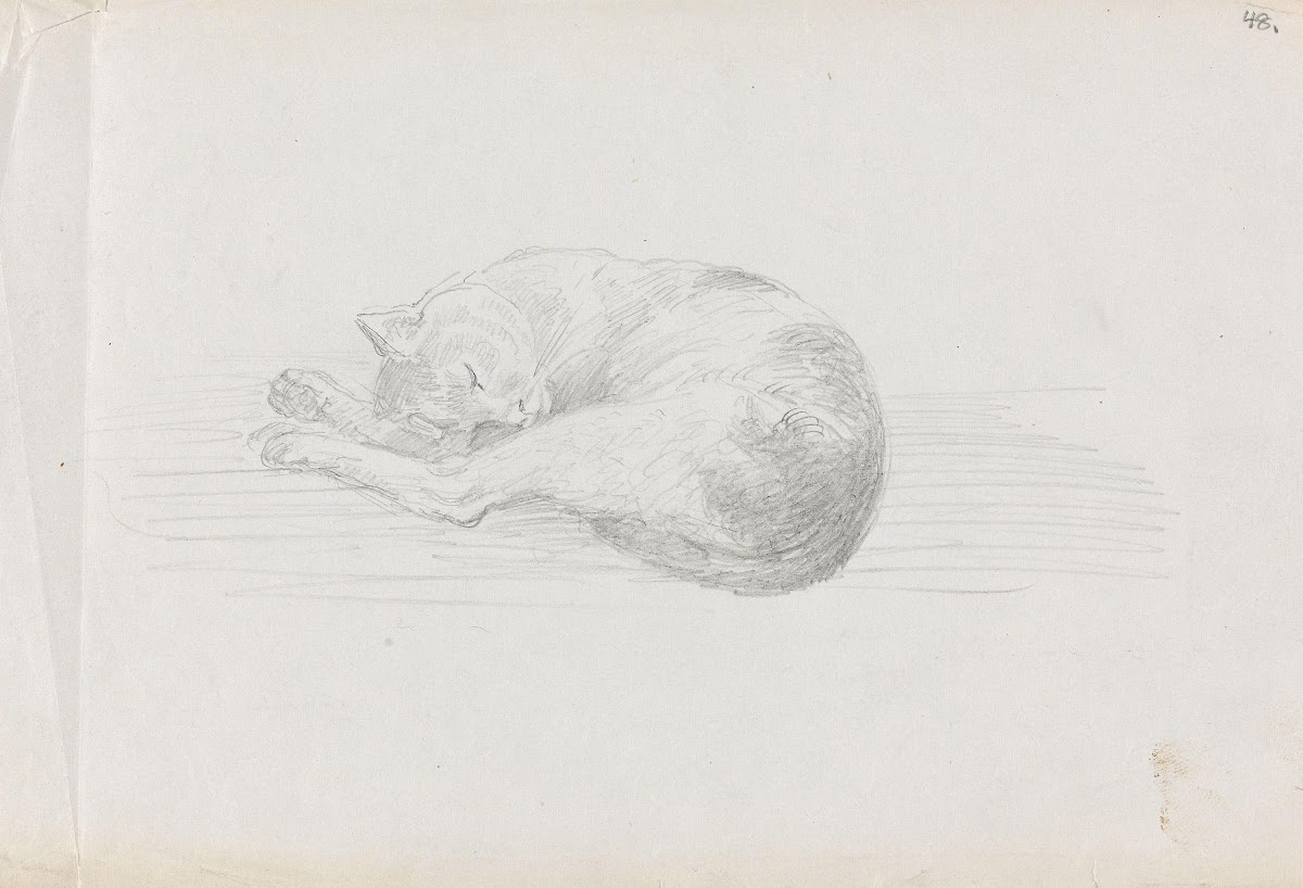 Sleeping cat between 1855 and 1857
