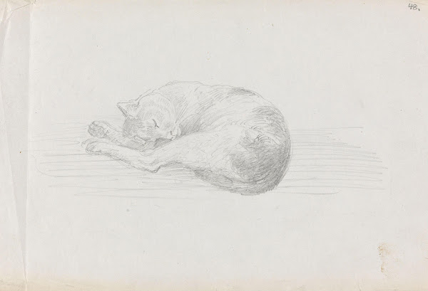 Sleeping cat between 1855 and 1857