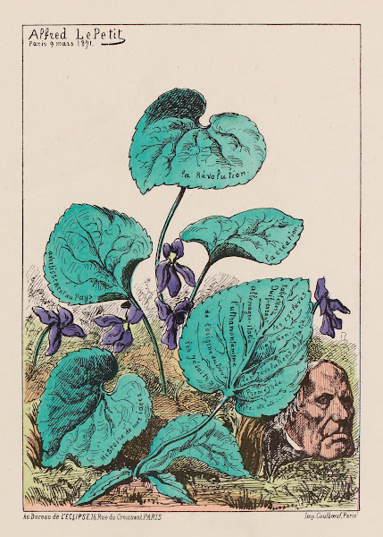 La violette  M Edgar Quinet