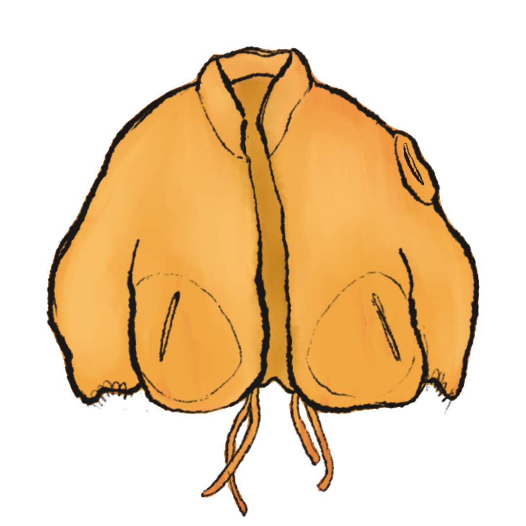 Yeezy Yellow Prototype Round Jacket product image