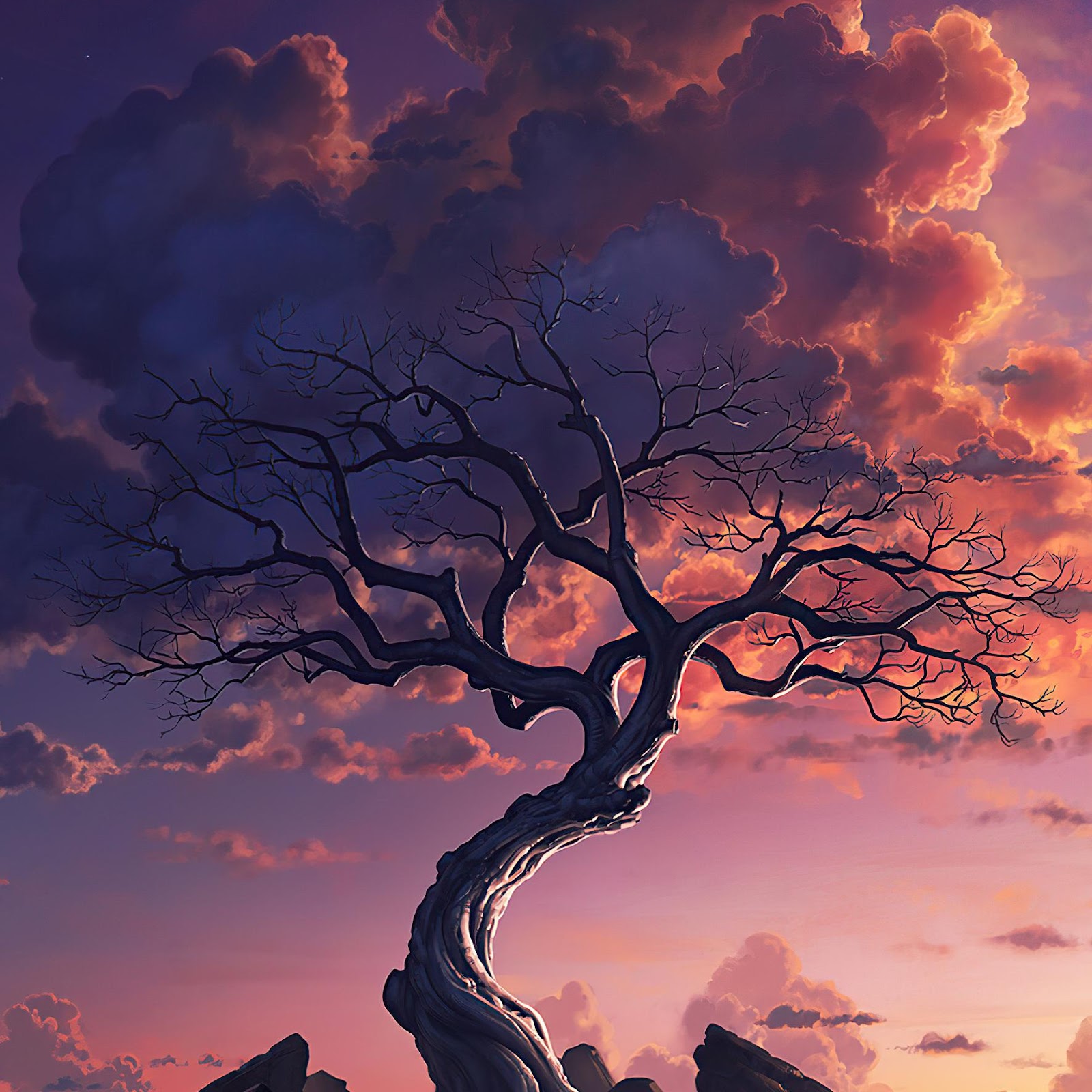 Download Gnarled Tree On Rocky Shore 2K iPhone