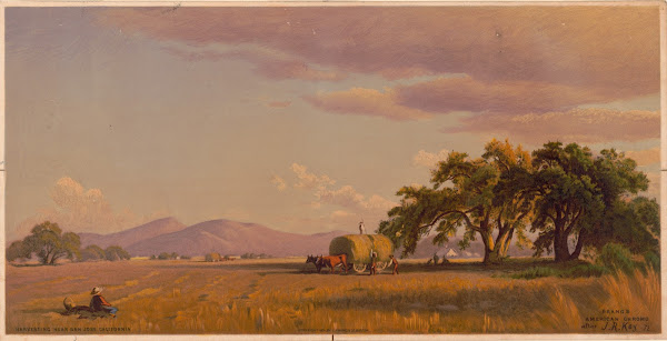 Harvesting near San Jose 1874