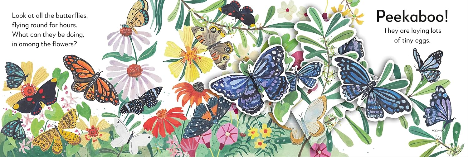 Pop-Up Peekaboo! Butterfly - thumbnail 3