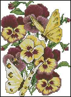 CMP 170269 Scenic Pansies