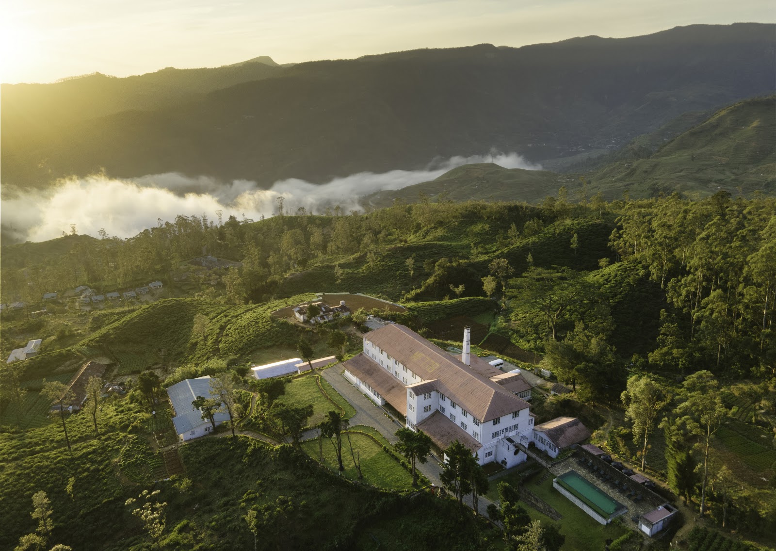 Tea & Experience on the Kabaragalla Estate
