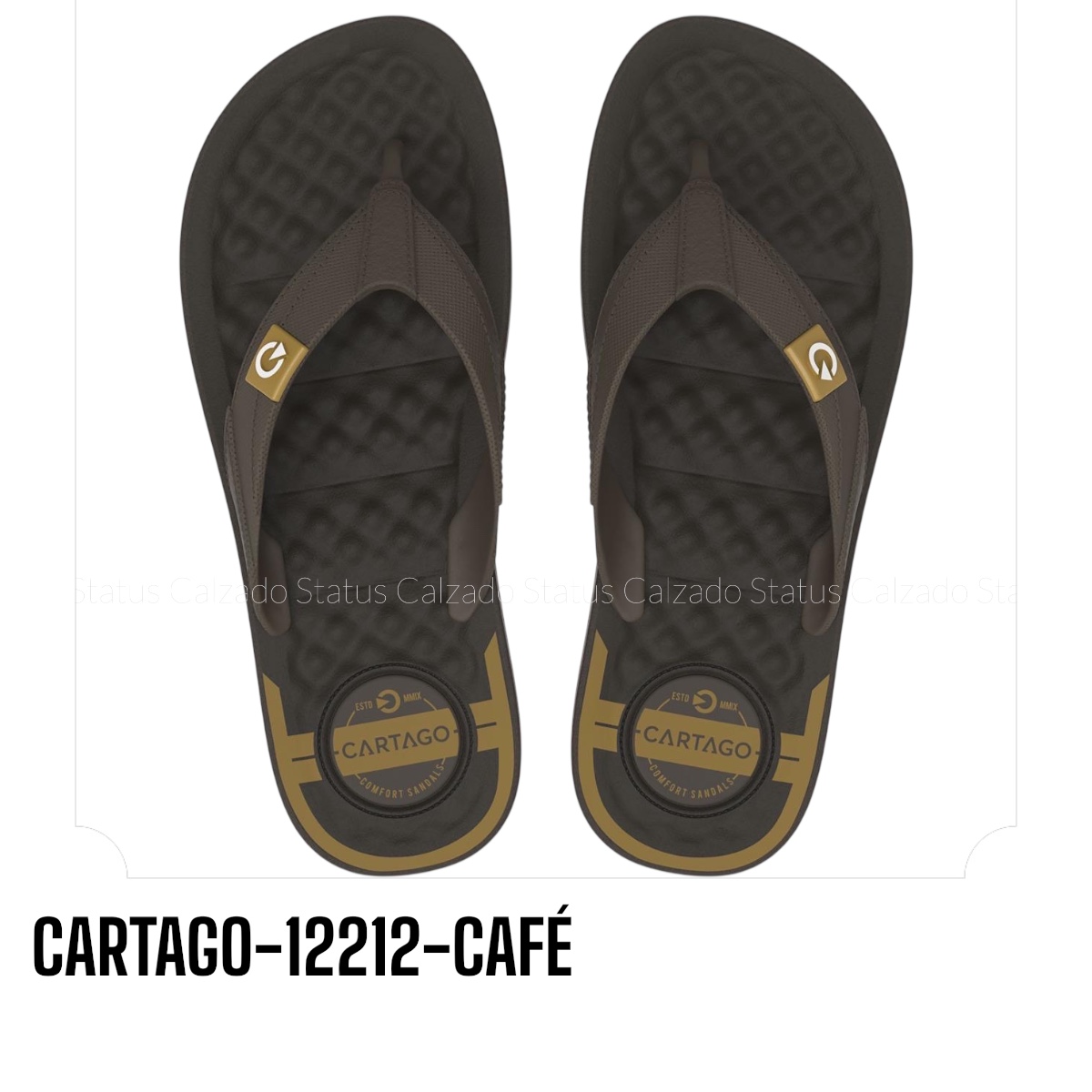 CARTAGO-12212-CAFÉ