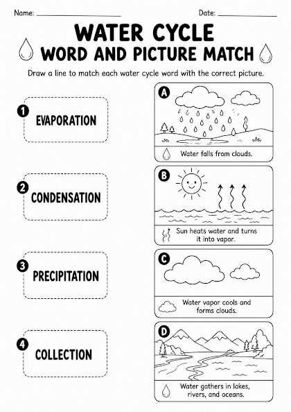 Water Cycle Word and Picture Match