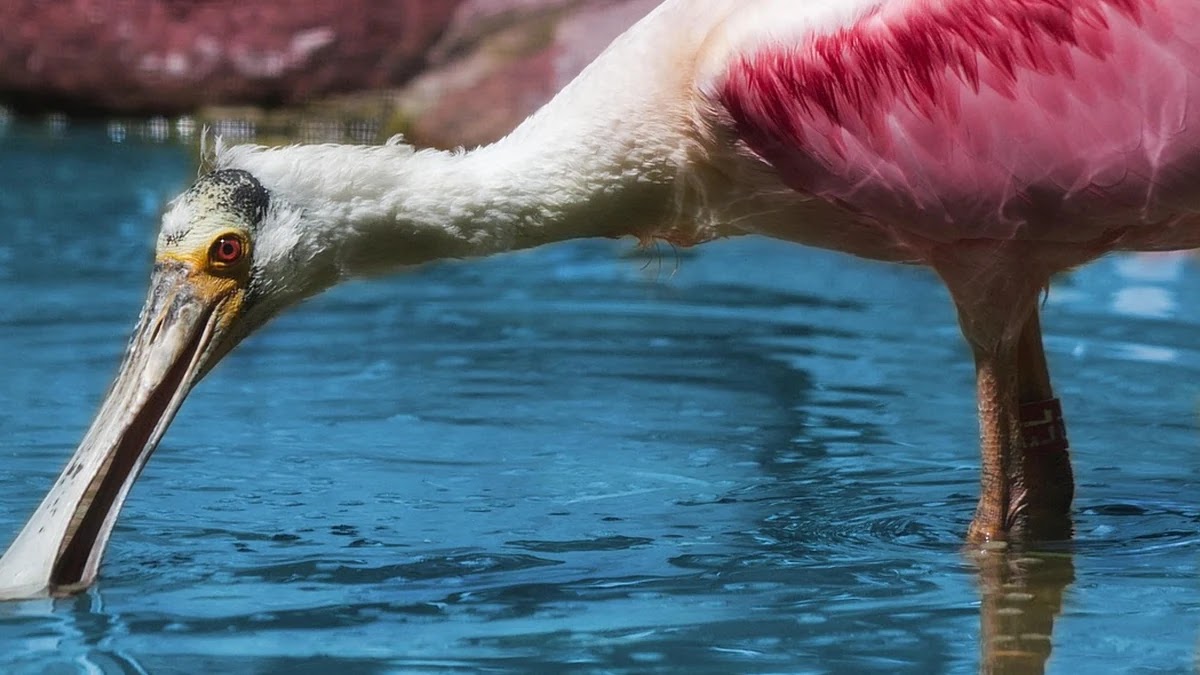 전기요금 청구서 보는 법과 절약 포인트 분석
