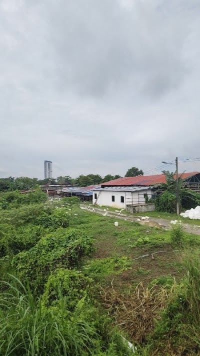Tanah Pertanian 1 Ekar Pulau Meranti — foto 5/10