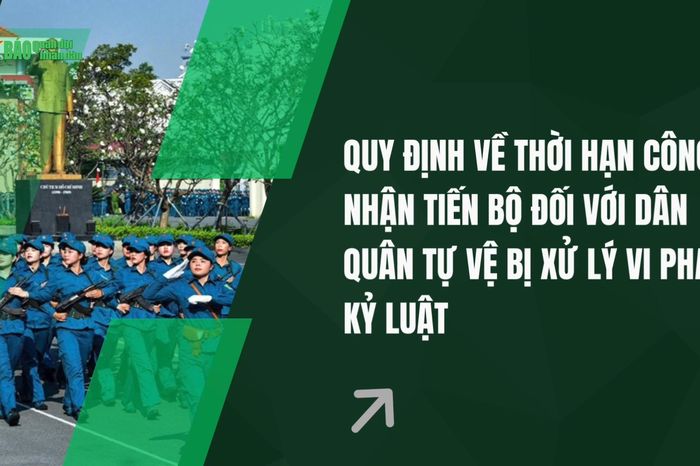 Quy định về thời hạn công nhận tiến bộ đối với dân quân tự vệ bị xử lý vi phạm kỷ luật - Báo Quân Đội Nhân Dân