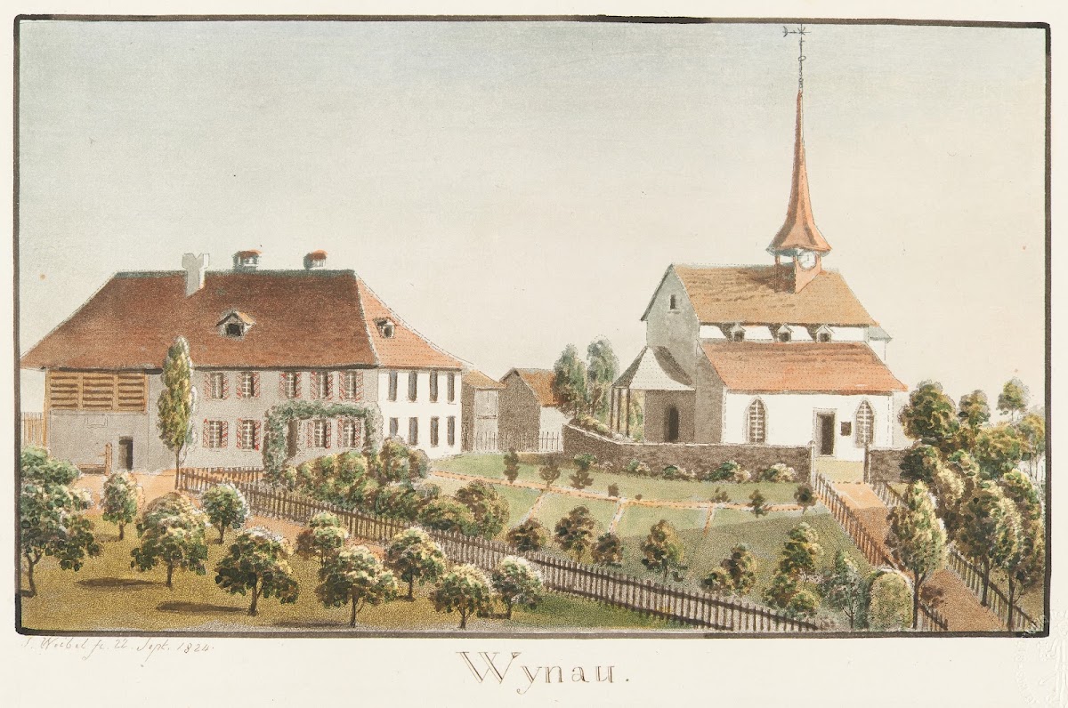 Wynau