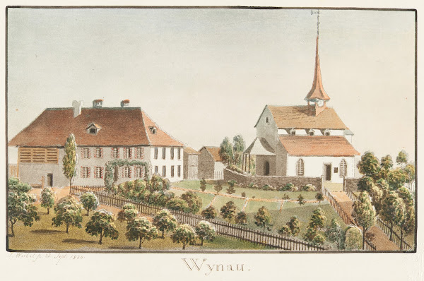 Wynau