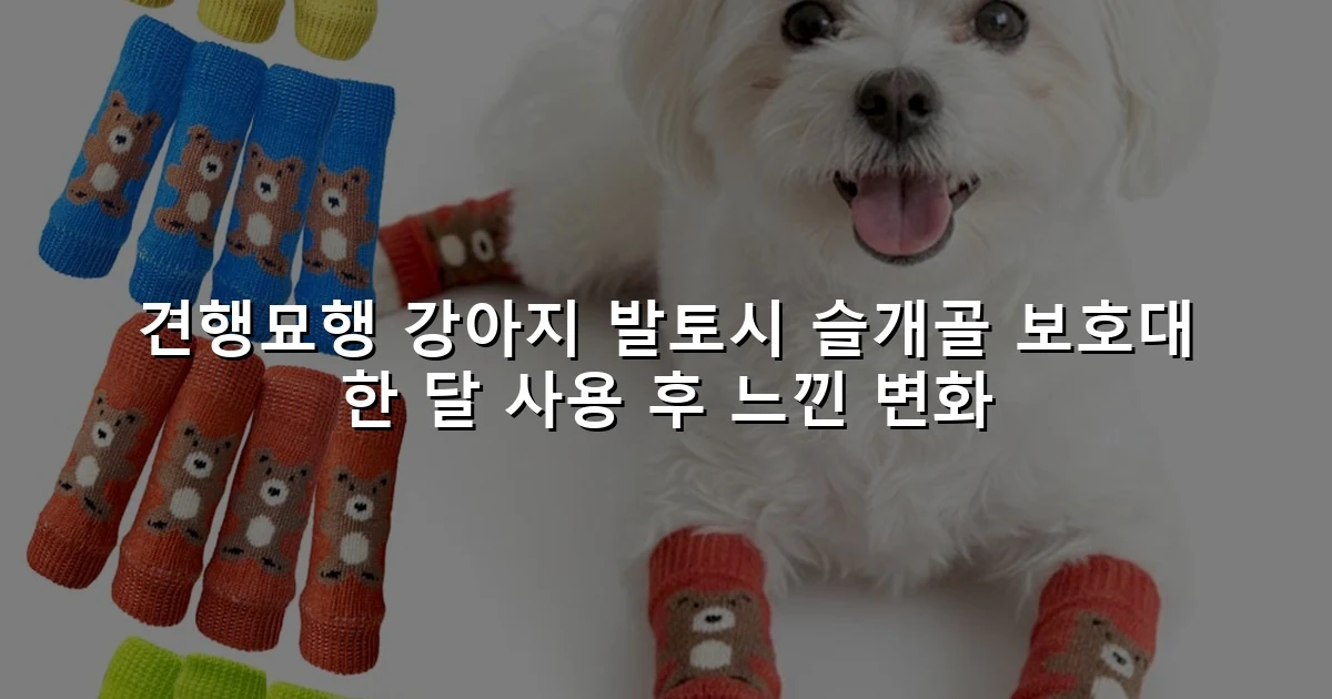 견행묘행 강아지 발토시 슬개골 보호대 한 달 사용 후 느낀 변화