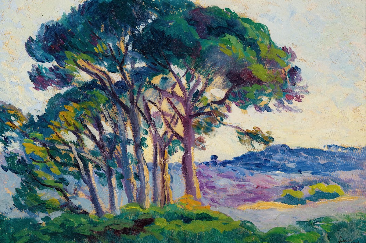 Pins Aux Cannebiers 1903