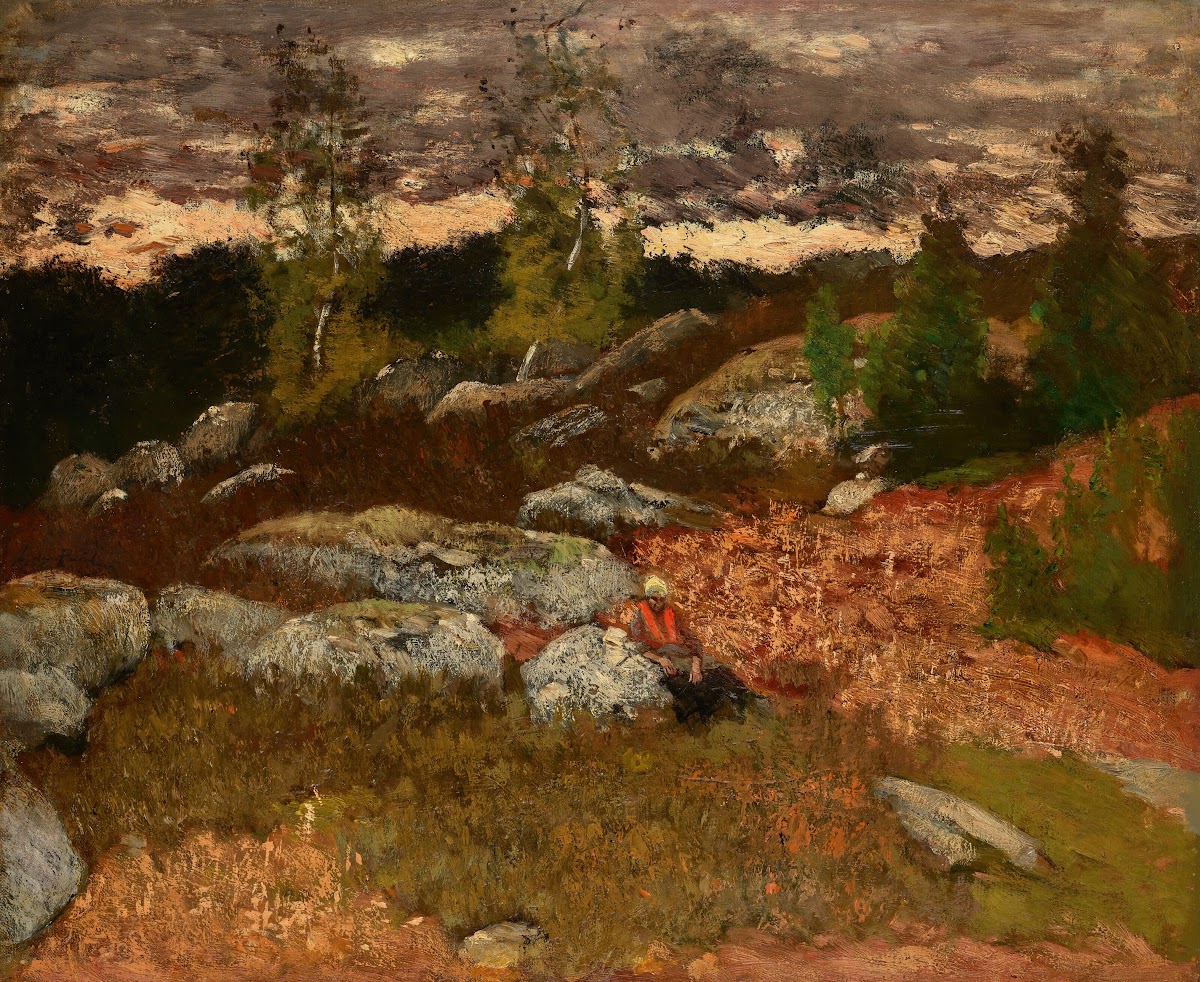 Forest Landscape