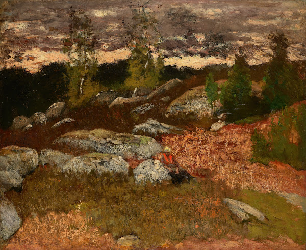 Forest Landscape