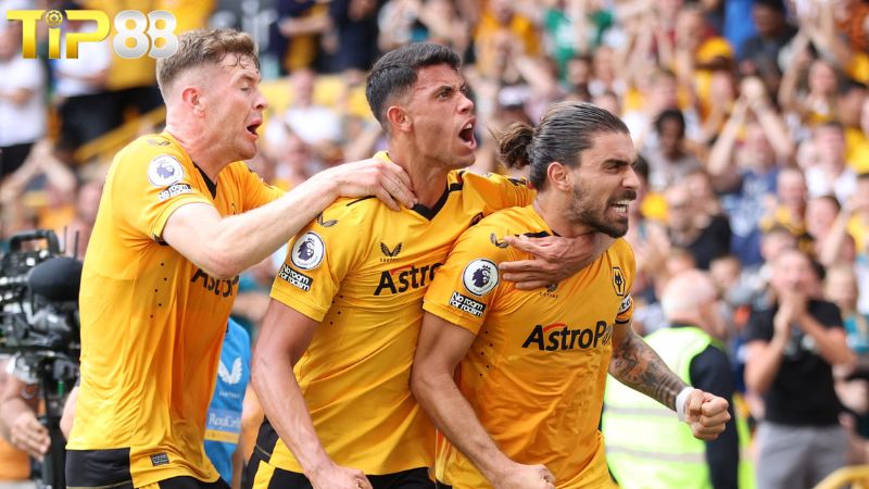 Lịch sử đối đầu giữa Wolves vs Newcastle