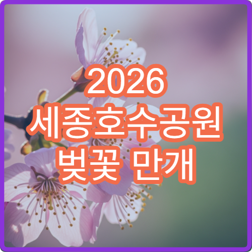 2026 세종호수공원 벚꽃 만개 후기 초보 드라이브 루트