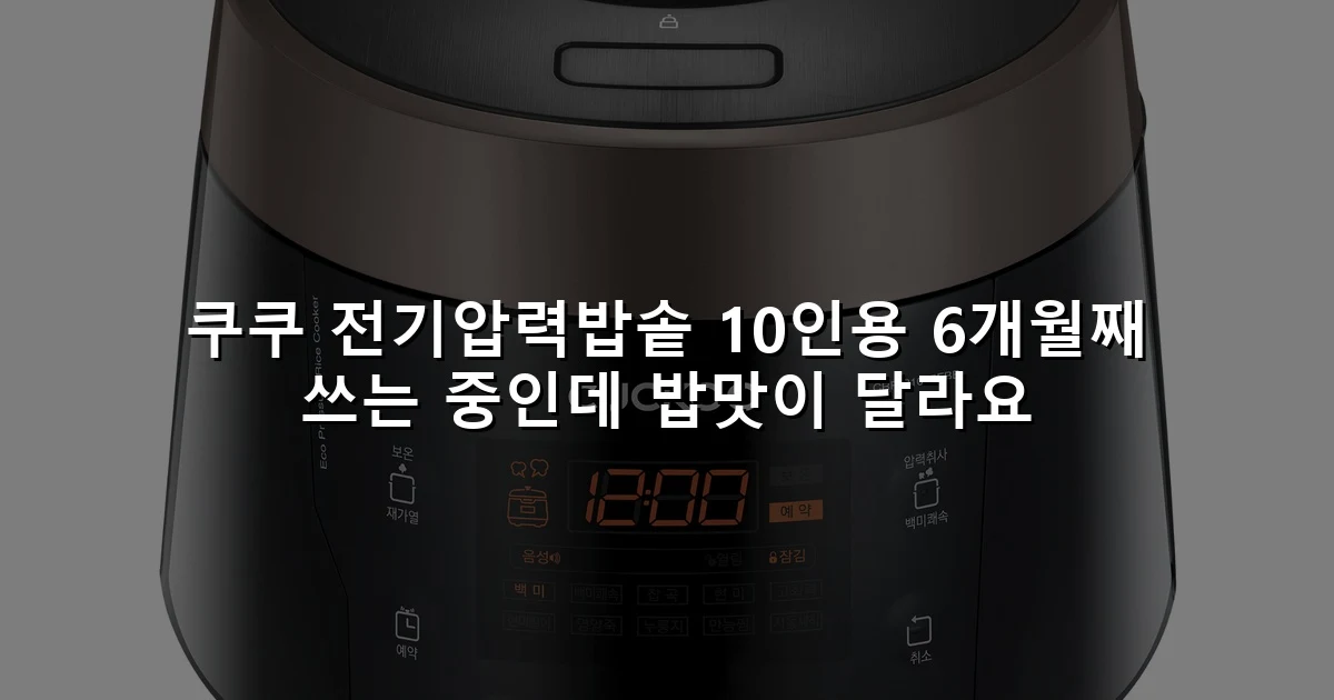 쿠쿠 전기압력밥솥 10인용 6개월째 쓰는 중인데 밥맛이 달라요