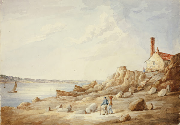 Rocky Shore