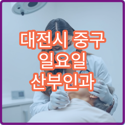 대전시 중구 일요일 산부인과 진료 병원 여성 질환 진료