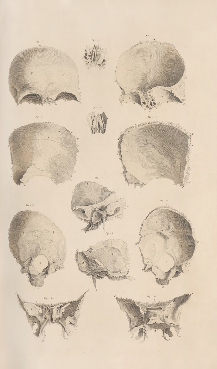 A system of anatomical plates of the human body Pl005 1840