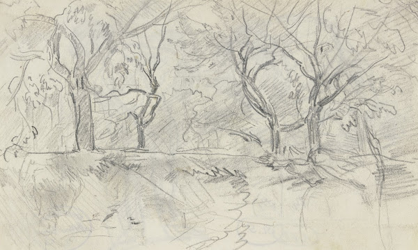 Forest section